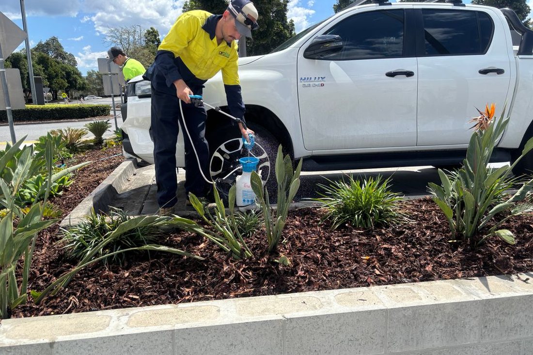Mount Ommaney Centre — Grolife crew member spraying garden beds with branded Hilux behind